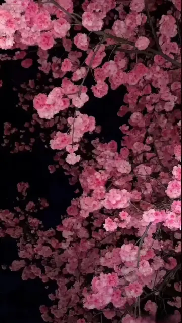 3D wallpaper CapCut template preview