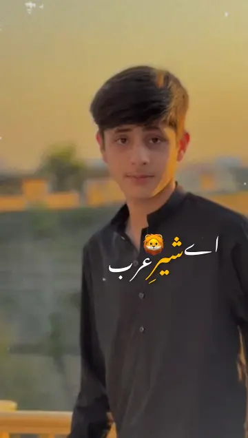 اے شیر عرب CapCut template preview
