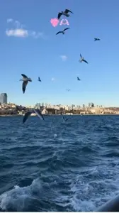 Ey Güzeller güzelim CapCut template preview