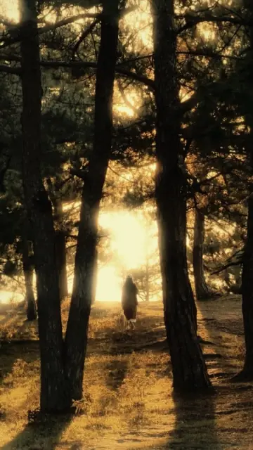 Golden Vibes Slowmo CapCut template preview
