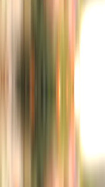 Gujarati Beat Edit CapCut template preview