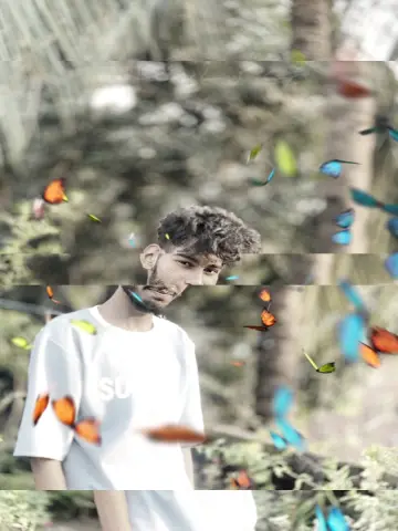 jhol CapCut template preview
