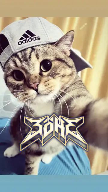 jj musik kece CapCut template preview