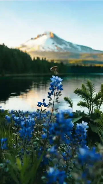 Mountain Peace CapCut template preview