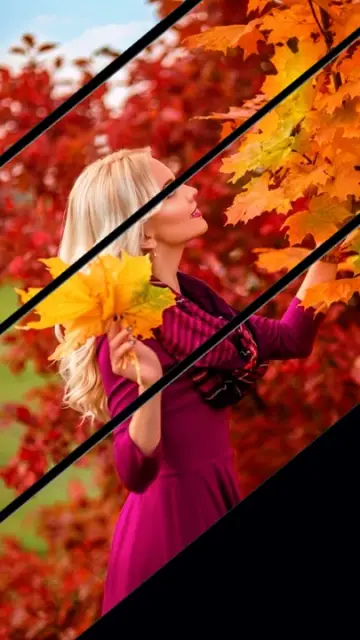 New Picture CapCut template preview