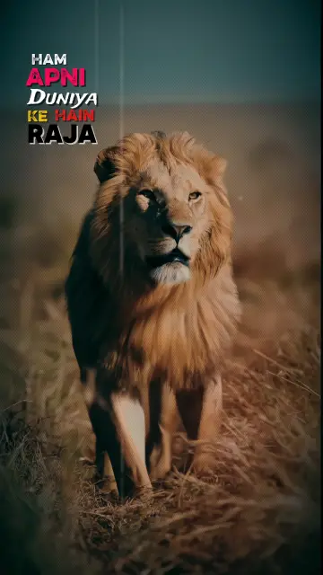 Raja Slowmo CapCut template preview