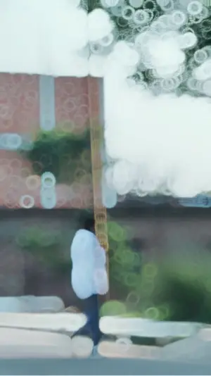 Sameer pyari CapCut template preview