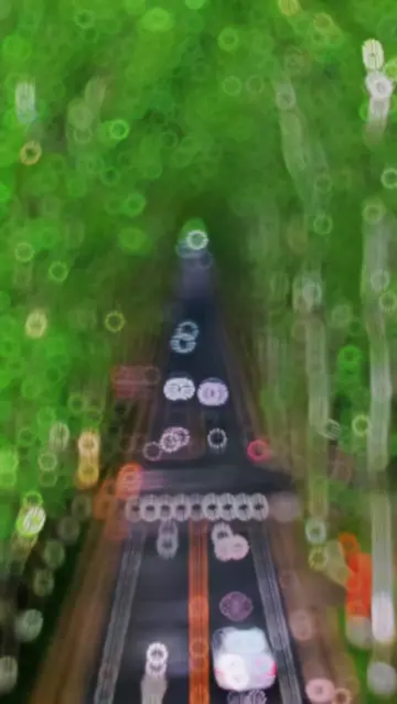 training video CapCut template preview